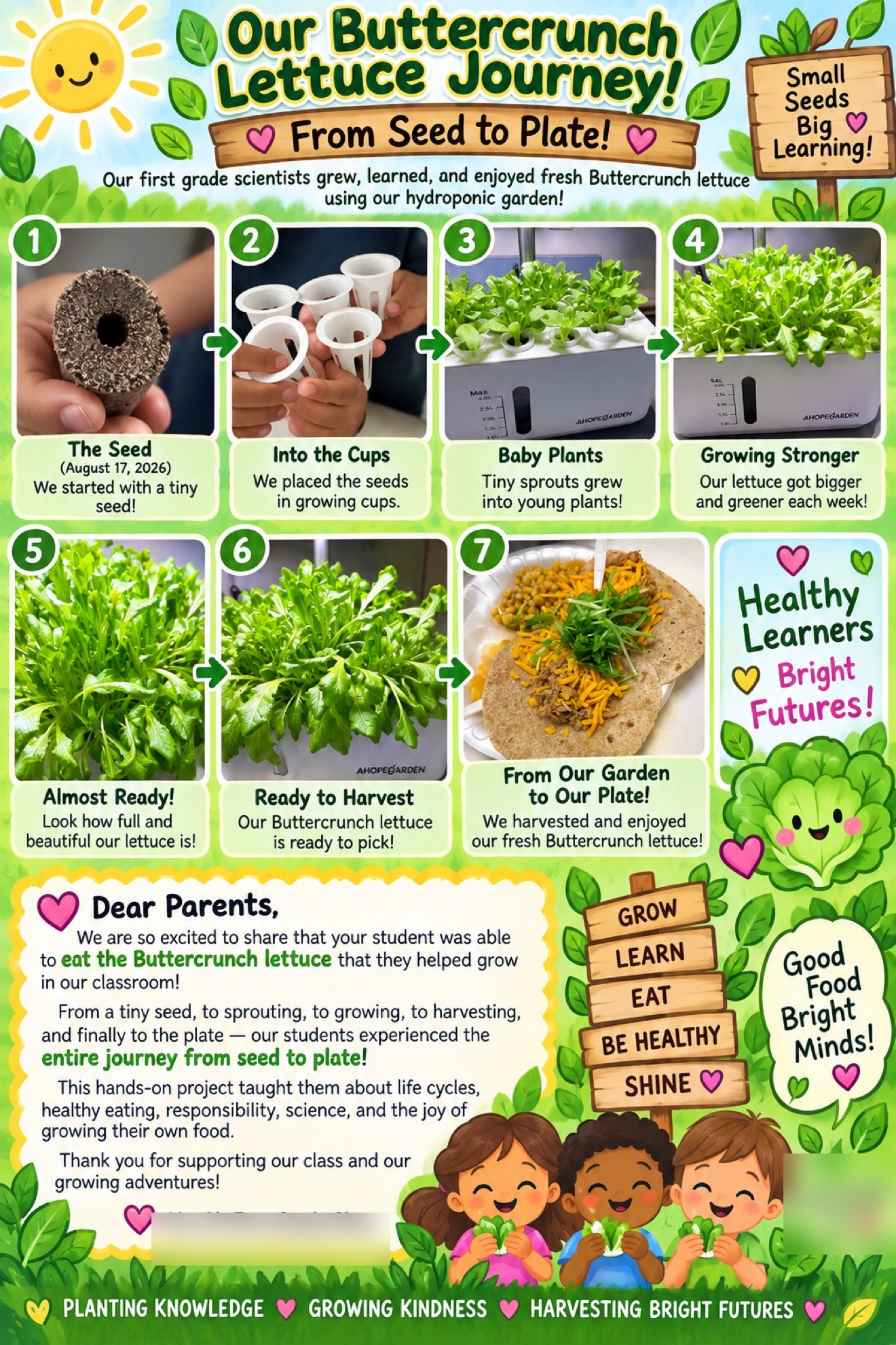 Classroom poster showing the Buttercrunch lettuce journey from seed to plate
